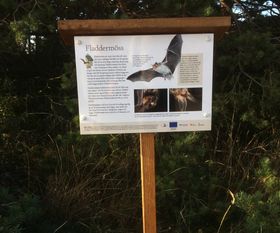 Bike nature trail sign about bats, När, Gotland
