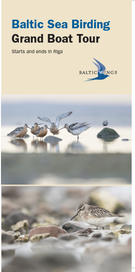 The Great Central Baltic Spring Birding Tour, Riga return ticket