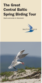 The Great Central Baltic Spring Birding Tour, Stockholm return ticket